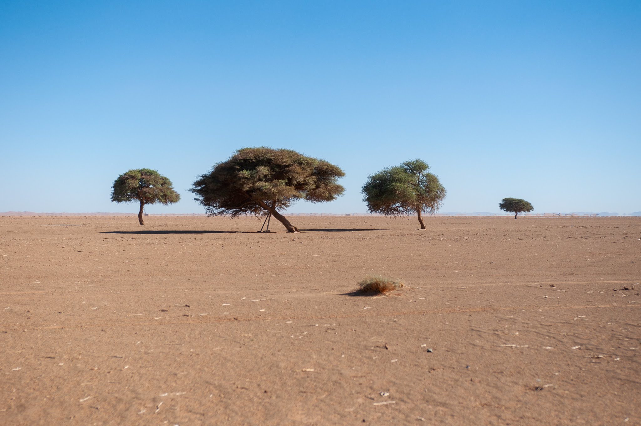 Sahara desert in Morocco